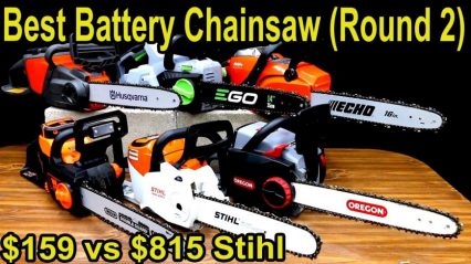 Is Spending $815 on a Battery Powered Chain Saw Worth It? Let’s Find Out!