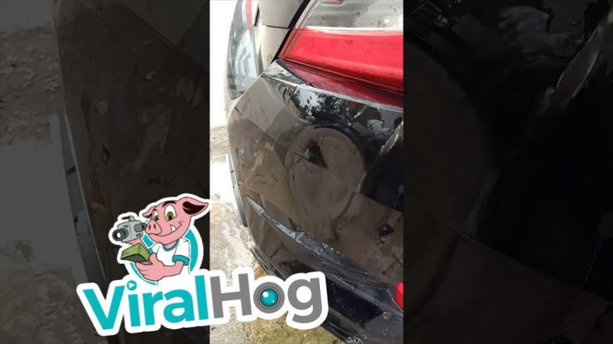 Simple Hack Uses Hot Water to Magically Pull Out Bumper Dent