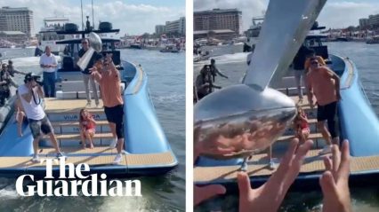Tom Brady Tosses Super Bowl Trophy From a Boat During Celebratory Boat Parade