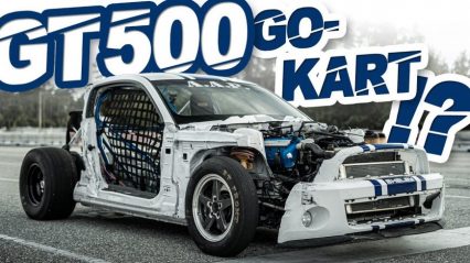 “Leroy” Inspired Shelby GT500 Go Kart Might be the Biggest Oddball Shelby There Is!