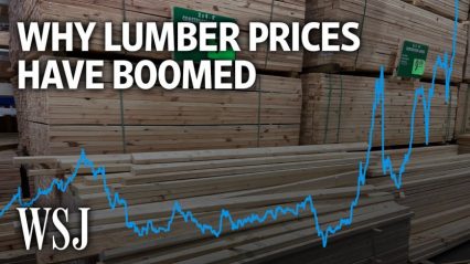 Here’s Why Lumber is Skyrocketing to Insane Prices, Even in the Face of a Pandemic