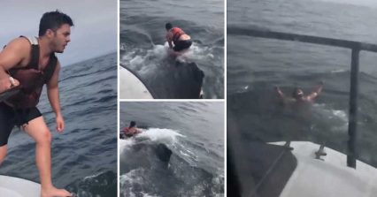TikTok User Goes Viral After Jumping From Boat to Save Whale From Net