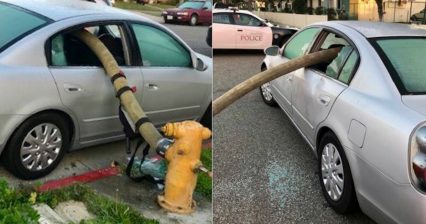 Firefighters Face Backlash After Smashing Car Windows in the Way of Fire Hydrant