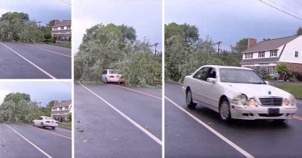 Car Plows Into Fallen Tree, Seemingly With Tons of Time to React