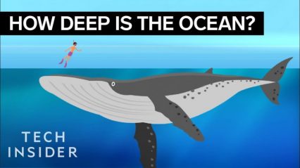 Incredible Animation Sheds New Light on How Deep the Ocean REALLY Is