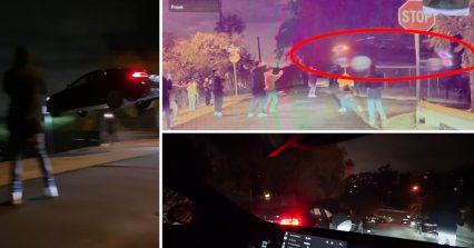 (Video) Reward Being Offered for Driver Who Jumped Tesla in Echo Park