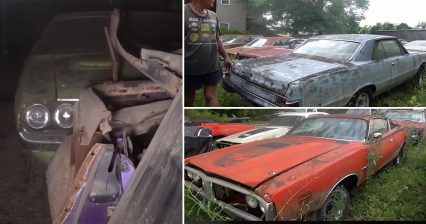 Massive Mopar Graveyard Barn Find Uncovers 100s of Muscle Cars