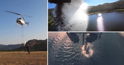 70,000 Fish Stocked in Alpine Lake by Helicopter is a Wild Sight