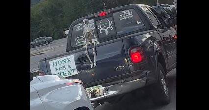 Funny Halloween Truck Makes Motorists “Honk for a Treat”