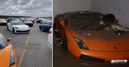 Massive Field Filled With Flooded Supercars For Auction Following Hurricane Ian