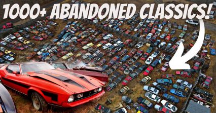 Exploring Junkyard Full of Abandoned Mustangs, Muscle Cars, and Classic Cars