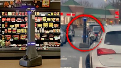 Robot Designed to Help in Grocery Store Escapes and Runs Free