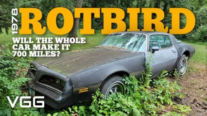 Will a Rusty Old Firebird Start and DRIVE 700 Miles Home After Sitting for Years?